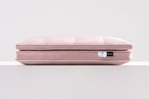 Goose luxury Pillow